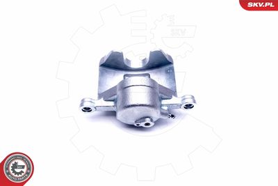 Brake Caliper 46SKV082