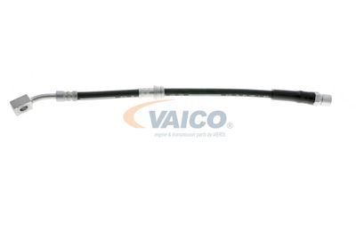 FURTUN FRANA VAICO V404110 63