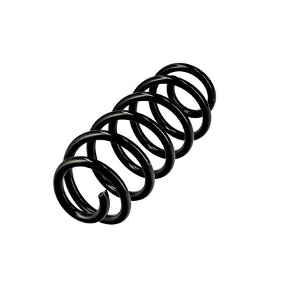 ARC SPIRAL EIBACH R10711 3