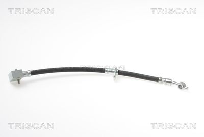 Тормозной шланг TRISCAN 8150 17206 для ROVER 800