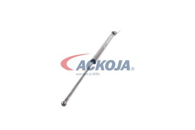 AMORTIZOR PORTBAGAJ ACKOJA A320092 27
