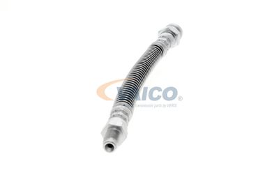 FURTUN FRANA VAICO V429579 40