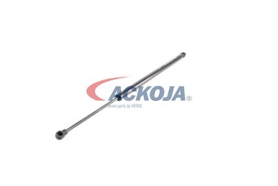 AMORTIZOR PORTBAGAJ ACKOJA A380134 29