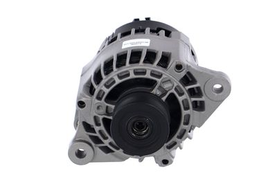 GENERATOR / ALTERNATOR REMANTE 011003000013R 59