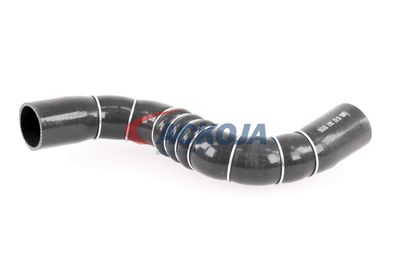 FURTUN EAR SUPRAALIMENTARE ACKOJA A389602 36