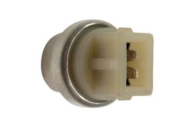 COMUTATOR TEMPERATURA VENTILATOR RADIATOR TRUCKTEC AUTOMOTIVE 0742008