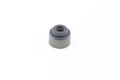 Dichtring, Ventilschaft