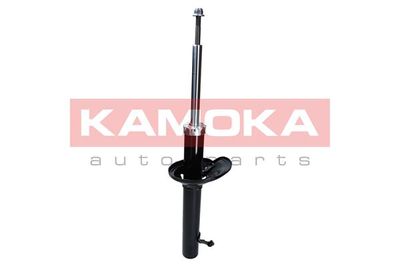 Shock Absorber 2000280