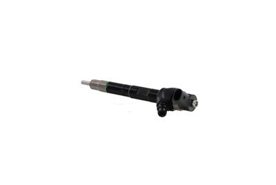 INJECTOR REMANTE 002003001489R 14