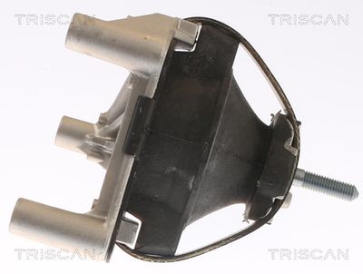 SUPORT MOTOR TRISCAN 850565100 2