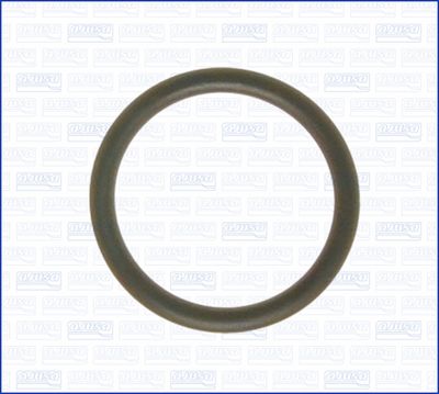 Uszczelka, rurka płynu chłodzącego AJUSA 16057100