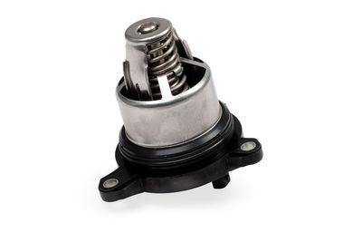 Termostat, chladivo GK 701389