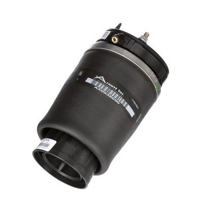 LUFTFEDER FAHRWERK Arnott A2934 60