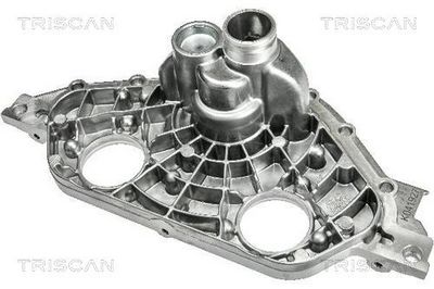 TRISCAN Variklio dangtis