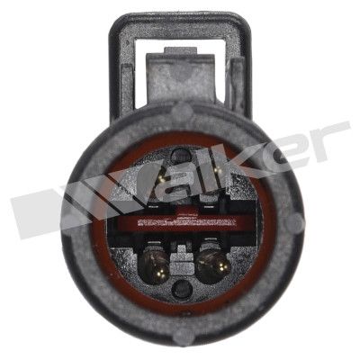 LAMBDASONDE WALKER PRODUCTS 25024858 2