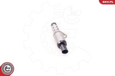 Control Valve, camshaft adjustment 39SKV001