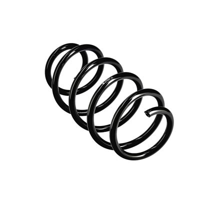 ARC SPIRAL EIBACH R11005 23