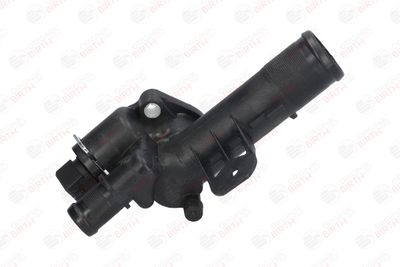FLANSA LICHID RACIRE BIRTH 81036 1