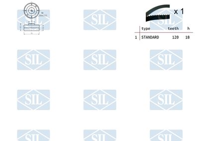 SET CUREA DE DISTRIBUTIE Saleri SIL TK1165 1