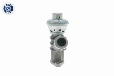 AGR-VENTIL VEMO V22630010 3