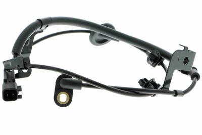 SENZOR TURATIE ROATA