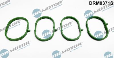 Dr.Motor Automotive DRM0371S Прокладка впускного коллектора  для FORD  (Форд Фокус)