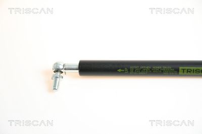 AMORTIZOR PORTBAGAJ TRISCAN 871069207 1