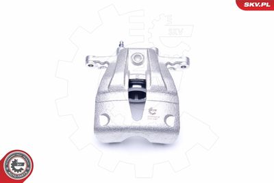 Brake Caliper 42SKV232