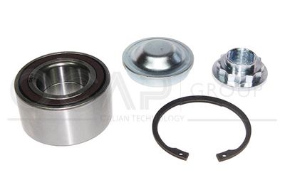SET RULMENT ROATA OCAP 6120664