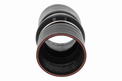 FURTUN EAR SUPRAALIMENTARE ACKOJA A380653 5