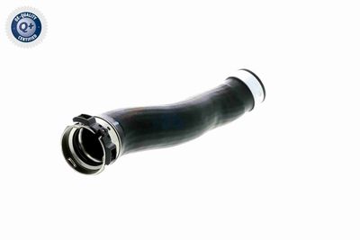 FURTUN EAR SUPRAALIMENTARE VAICO V201618 8