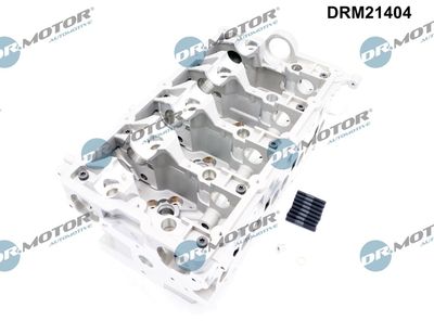 CHIULASA Dr.Motor Automotive DRM21404 3
