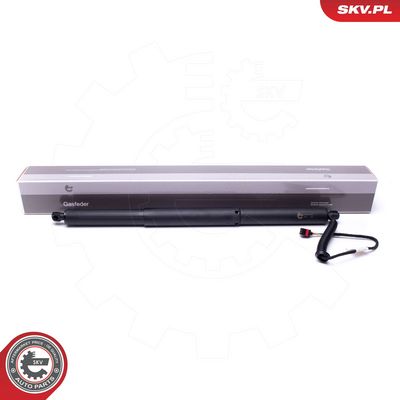 ESEN SKV Galinių durų elektros variklis