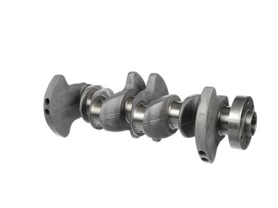 ARBORE COTIT ET ENGINETEAM HK0219 20