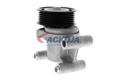 INTINZATOR CUREA CUREA DISTRIBUTIE ACKOJA A320602 20