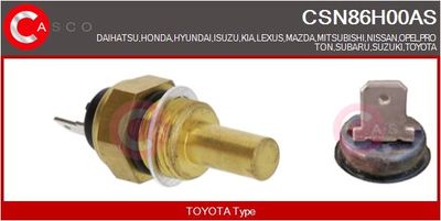 SENZOR TEMPERATURA LICHID DE RACIRE