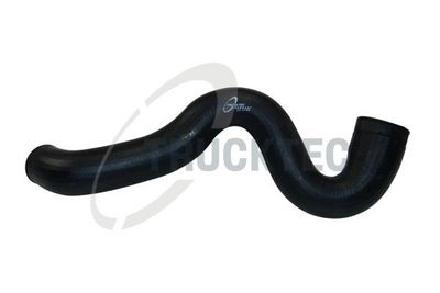 FURTUN EAR SUPRAALIMENTARE