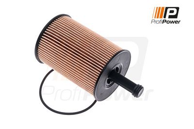 alyvos filtras 1F0001 ProfiPower