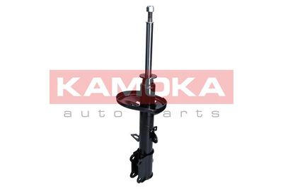 Shock Absorber 2000959