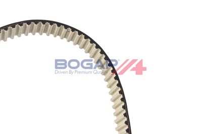 SET CUREA DE DISTRIBUTIE BOGAP A1328101 3