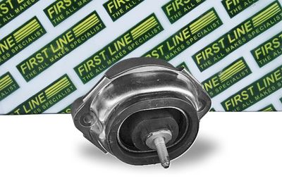 окачване, двигател FIRST LINE FEM4129