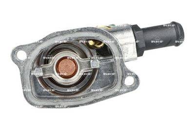 TERMOSTAT LICHID RACIRE NRF 725138 4