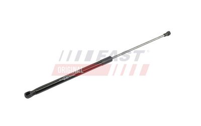 FT00194