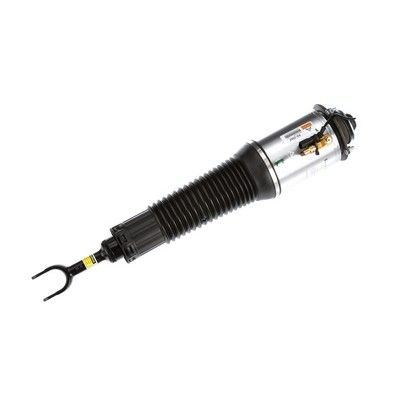 LUFTFEDERBEIN Arnott AS2560 74