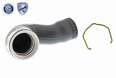 FURTUN EAR SUPRAALIMENTARE