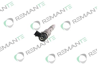 INJECTOR REMANTE 002003001496R 1