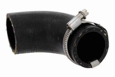 LADELUFTSCHLAUCH VAICO V461981 2