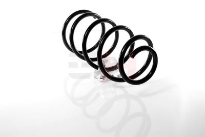 ARC SPIRAL GH GH204815 23