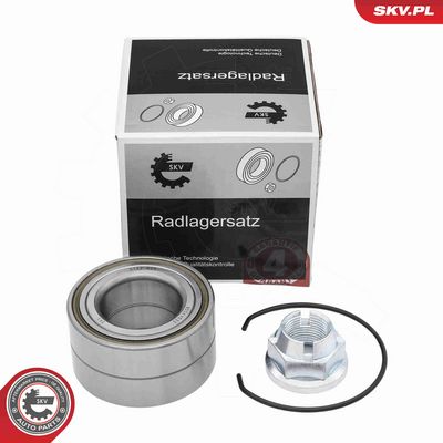 SET RULMENT ROATA ESEN SKV 85SKV033