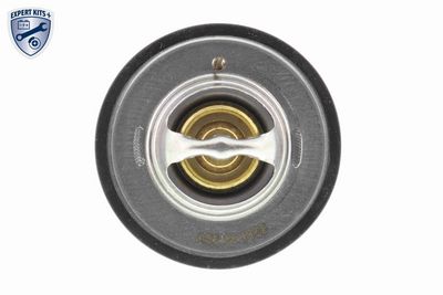TERMOSTAT LICHID RACIRE ACKOJA A38990008 1